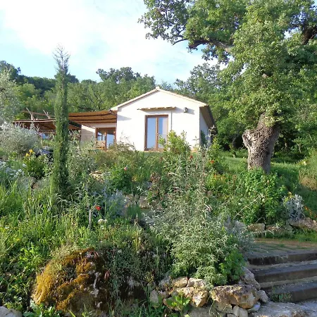 בית נופש Holiday 58014 Gr, Italia *